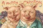 Christmas pigs