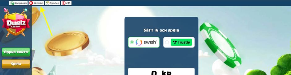 Spelgränser spelpaus självtest